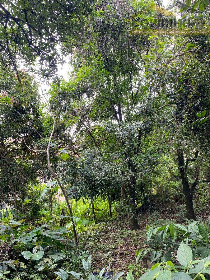 WhatsApp Image 2026-01-22 at 16.47.13 (10).jpeg